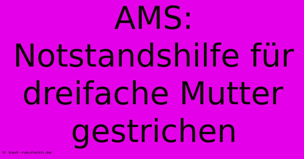 AMS: Notstandshilfe Für Dreifache Mutter Gestrichen