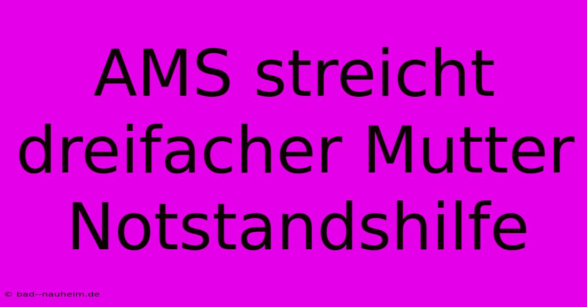 AMS Streicht Dreifacher Mutter Notstandshilfe