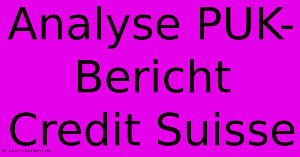 Analyse PUK-Bericht Credit Suisse