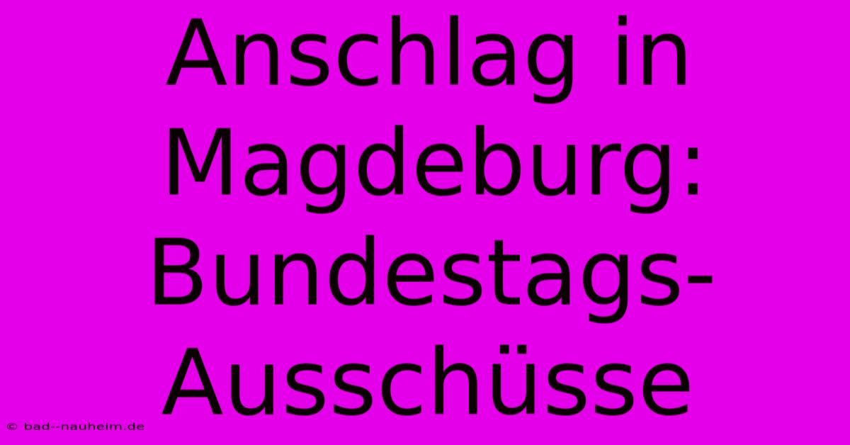 Anschlag In Magdeburg: Bundestags-Ausschüsse