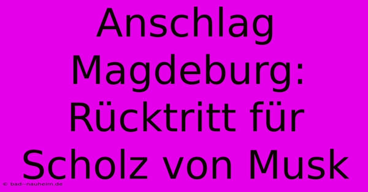 Anschlag Magdeburg: Rücktritt Für Scholz Von Musk