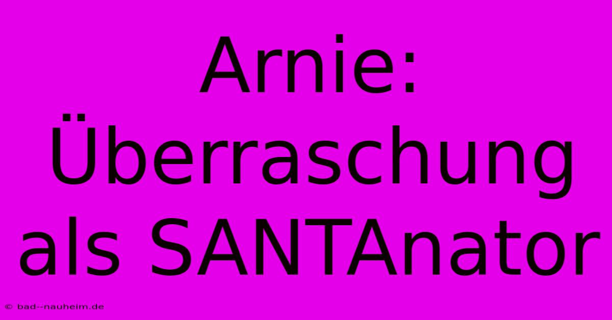 Arnie: Überraschung Als SANTAnator