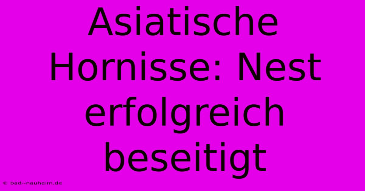 Asiatische Hornisse: Nest Erfolgreich Beseitigt