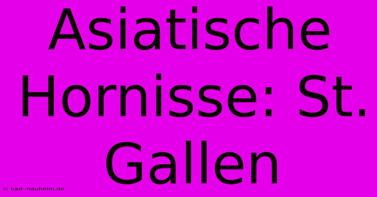 Asiatische Hornisse: St. Gallen