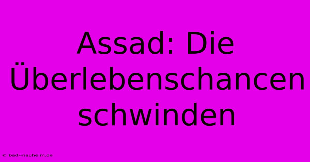 Assad: Die Überlebenschancen Schwinden