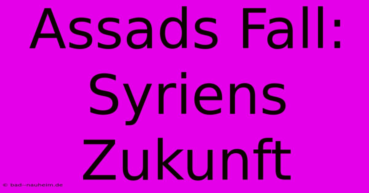 Assads Fall: Syriens Zukunft