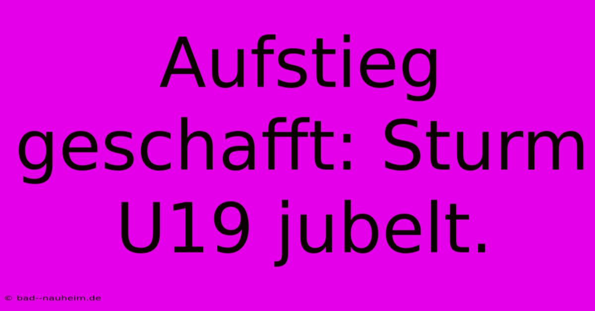 Aufstieg Geschafft: Sturm U19 Jubelt.