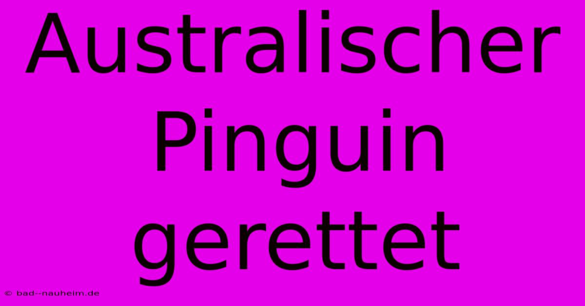 Australischer Pinguin Gerettet