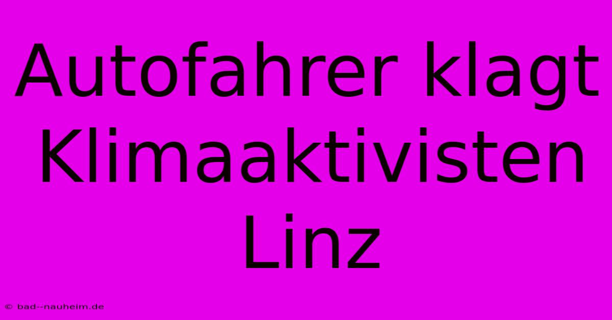 Autofahrer Klagt Klimaaktivisten Linz