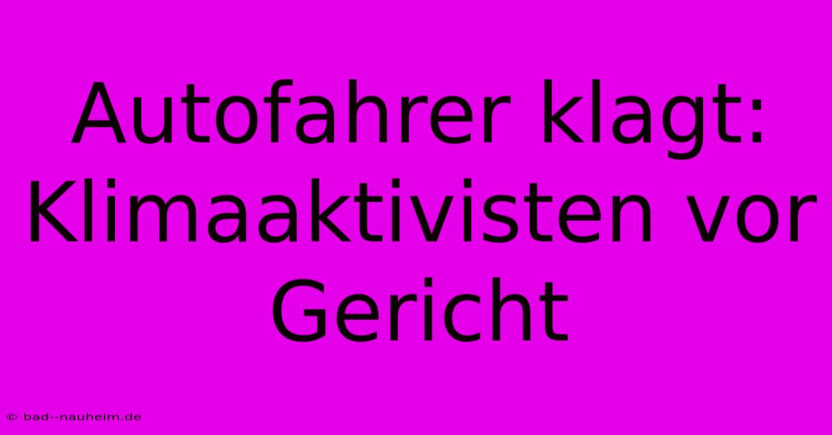 Autofahrer Klagt: Klimaaktivisten Vor Gericht