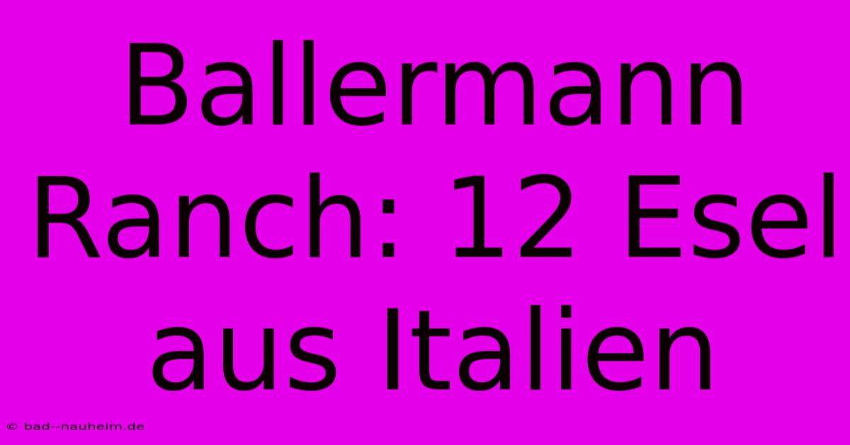 Ballermann Ranch: 12 Esel Aus Italien