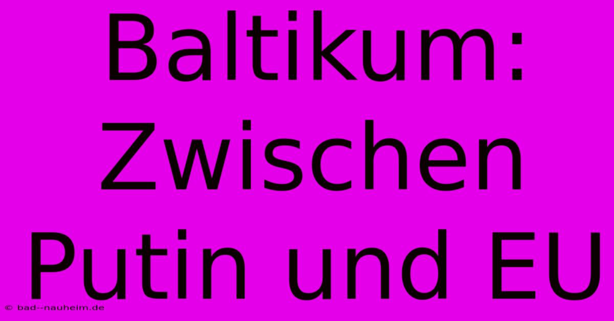 Baltikum: Zwischen Putin Und EU