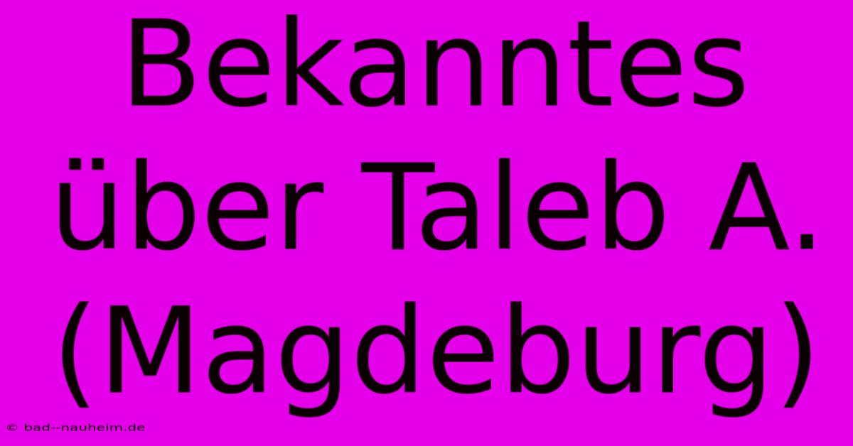 Bekanntes Über Taleb A. (Magdeburg)