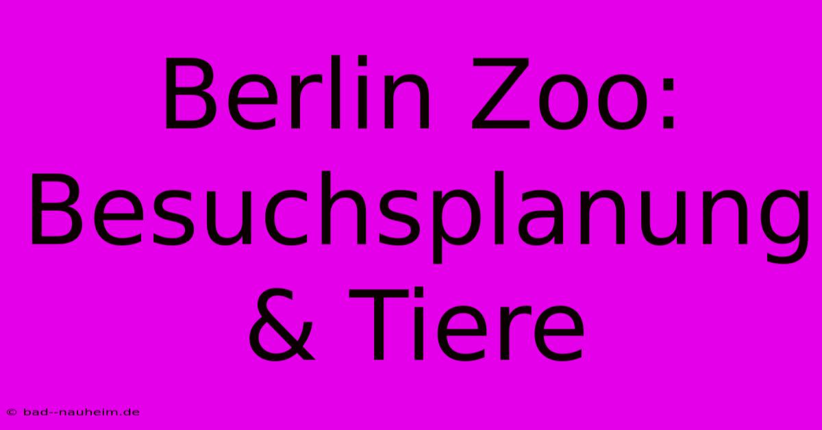 Berlin Zoo:  Besuchsplanung & Tiere