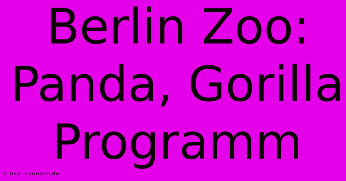 Berlin Zoo: Panda, Gorilla Programm