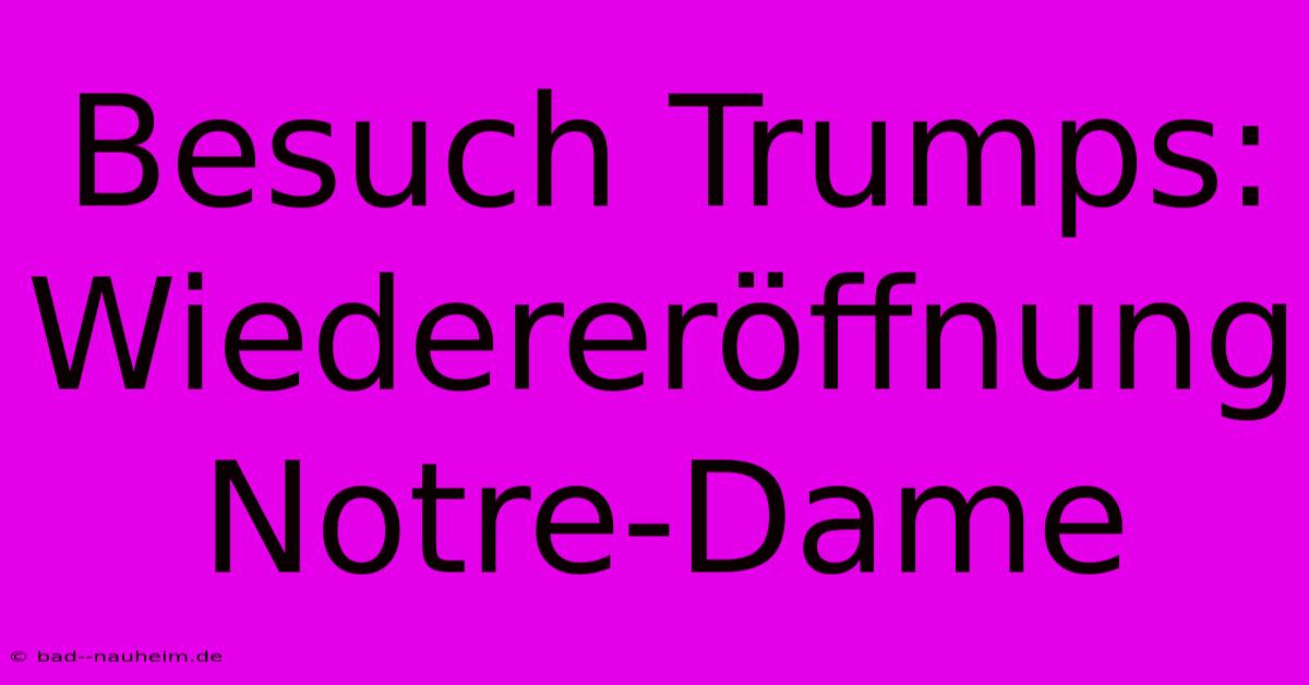 Besuch Trumps: Wiedereröffnung Notre-Dame