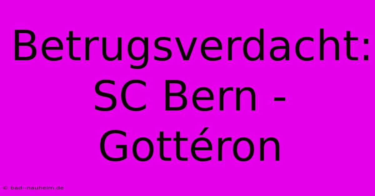 Betrugsverdacht: SC Bern - Gottéron