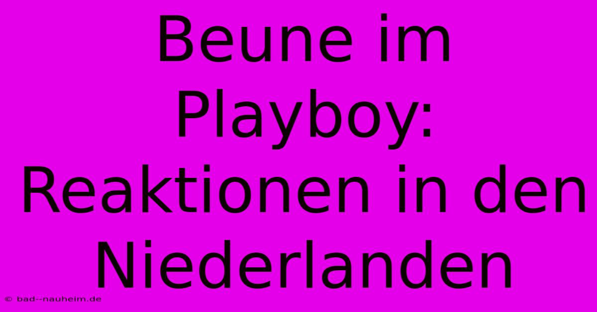 Beune Im Playboy: Reaktionen In Den Niederlanden