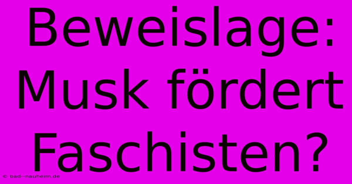 Beweislage: Musk Fördert Faschisten?