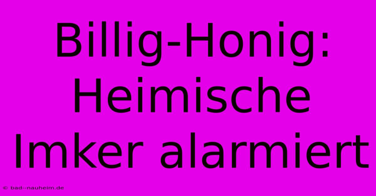 Billig-Honig:  Heimische Imker Alarmiert