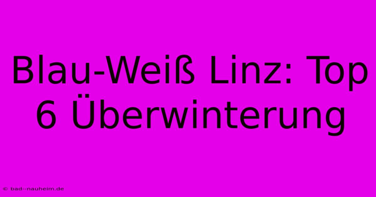 Blau-Weiß Linz: Top 6 Überwinterung