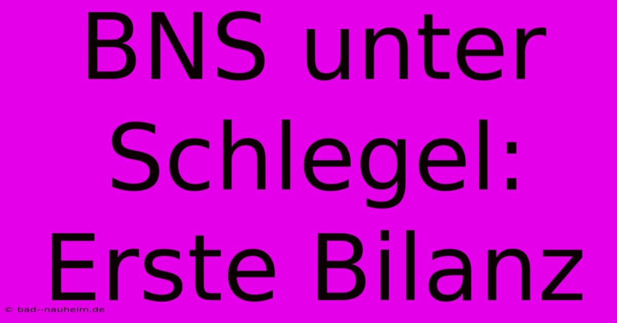 BNS Unter Schlegel: Erste Bilanz