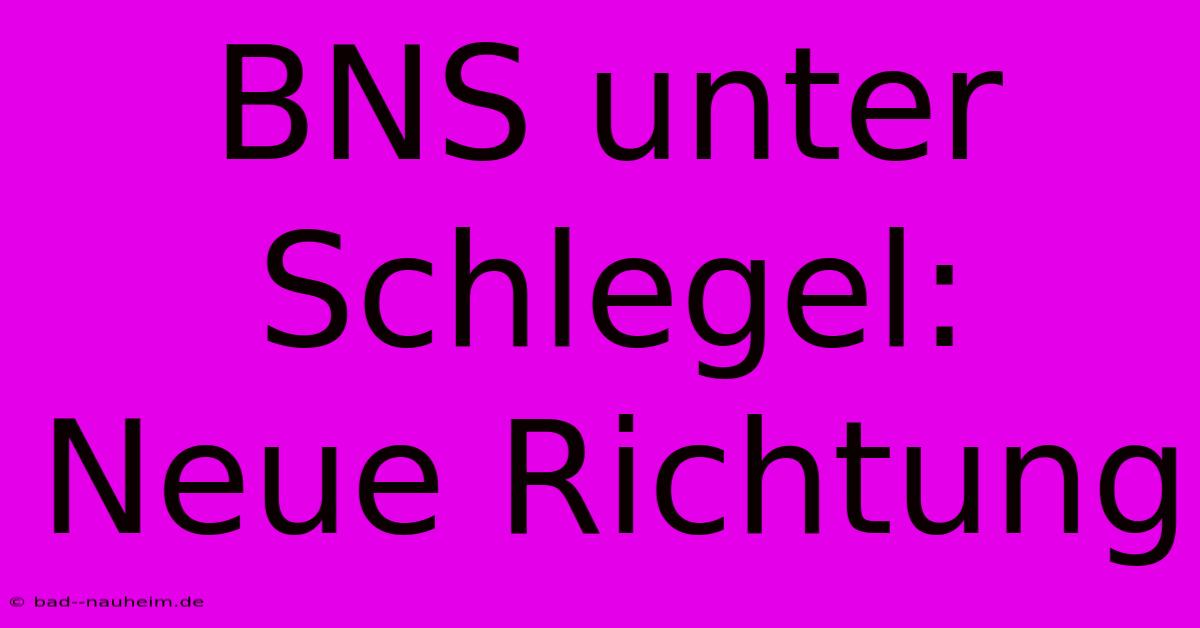 BNS Unter Schlegel: Neue Richtung