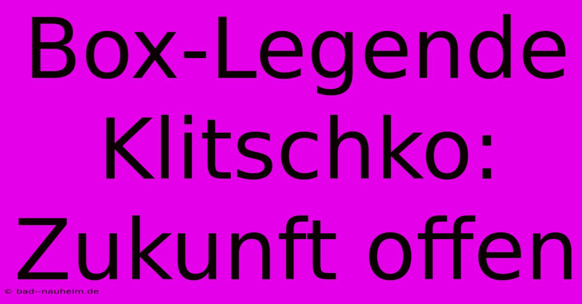 Box-Legende Klitschko:  Zukunft Offen