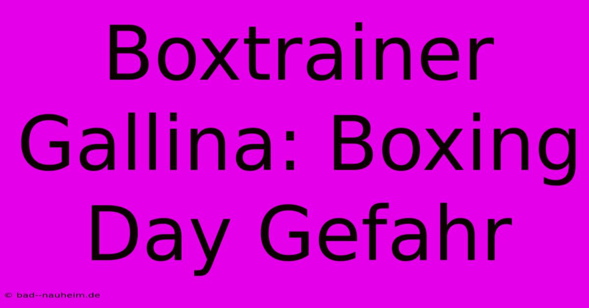 Boxtrainer Gallina: Boxing Day Gefahr