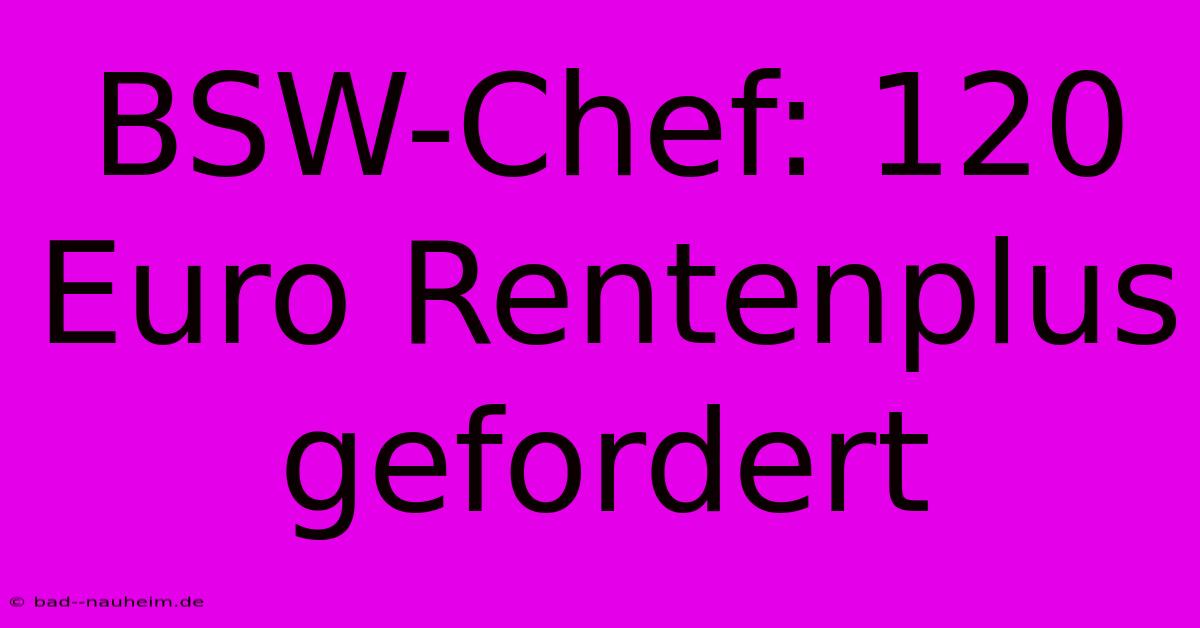 BSW-Chef: 120 Euro Rentenplus Gefordert