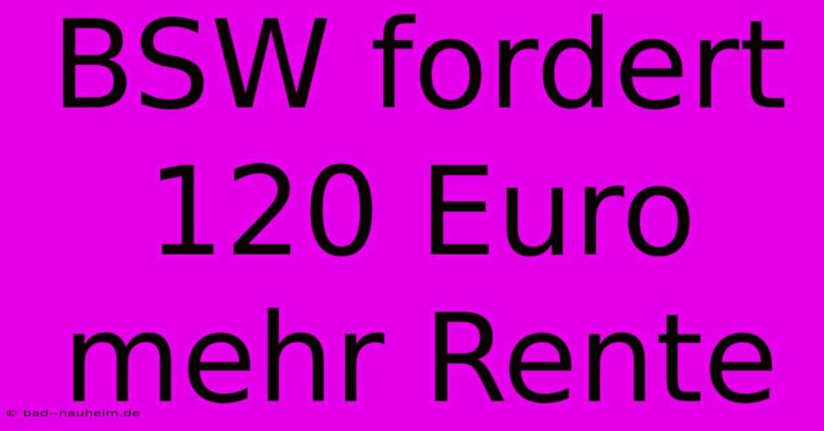 BSW Fordert 120 Euro Mehr Rente