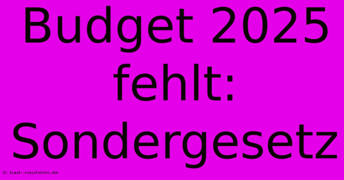 Budget 2025 Fehlt: Sondergesetz