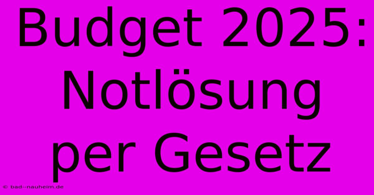 Budget 2025:  Notlösung Per Gesetz