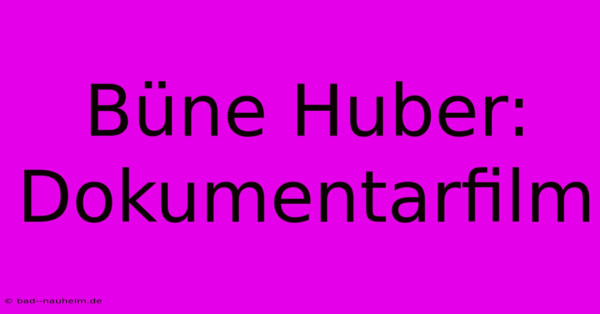 Büne Huber:  Dokumentarfilm