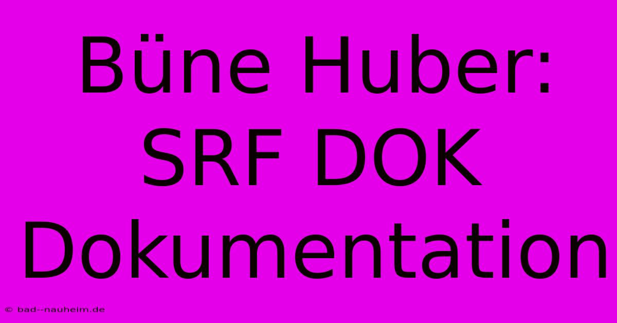 Büne Huber: SRF DOK Dokumentation