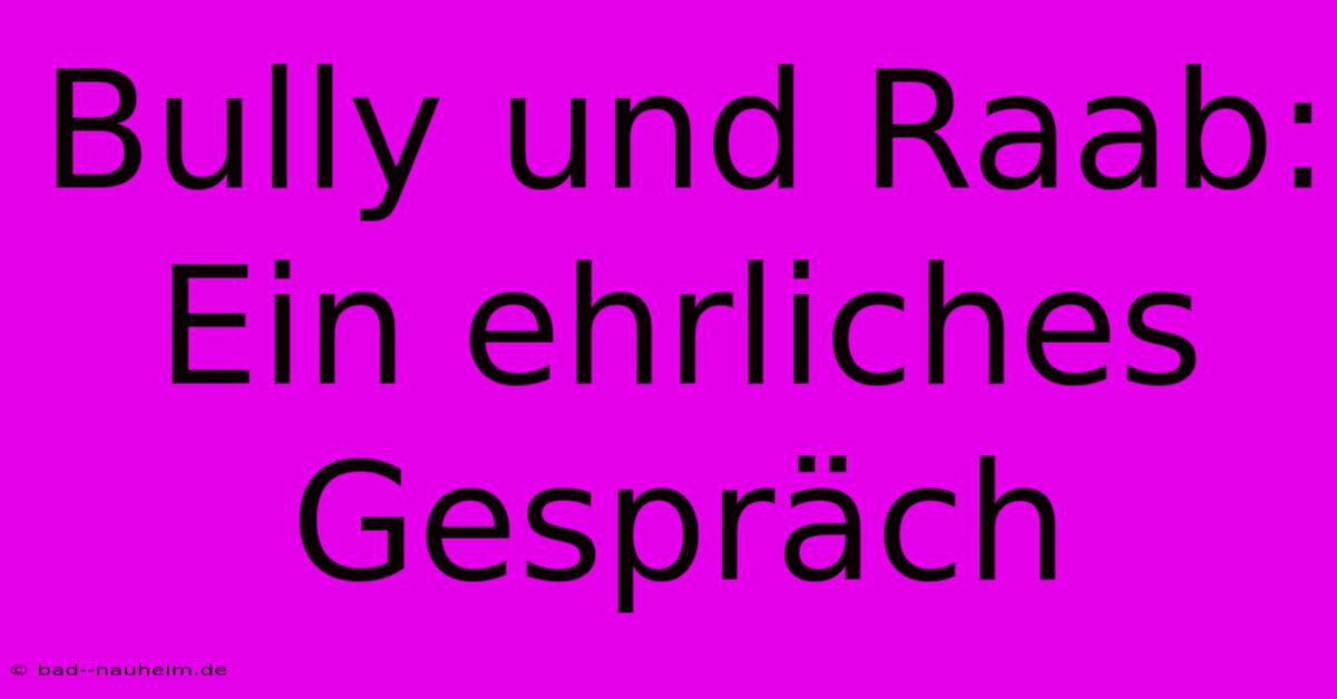 Bully Und Raab:  Ein Ehrliches Gespräch