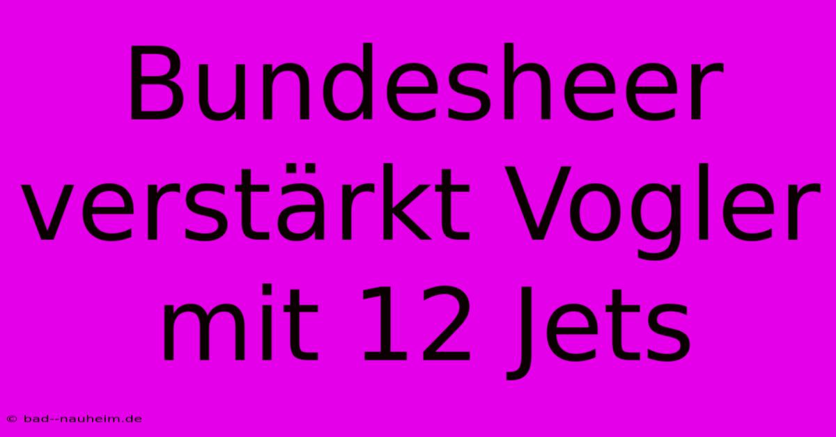 Bundesheer Verstärkt Vogler Mit 12 Jets