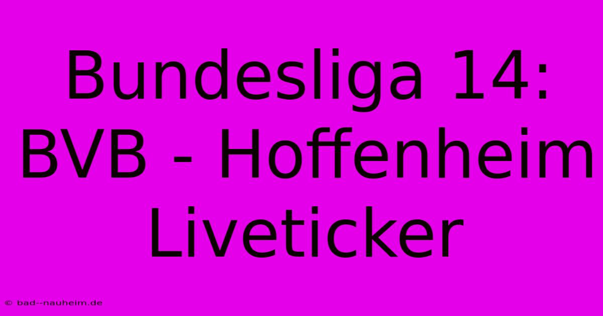 Bundesliga 14: BVB - Hoffenheim Liveticker