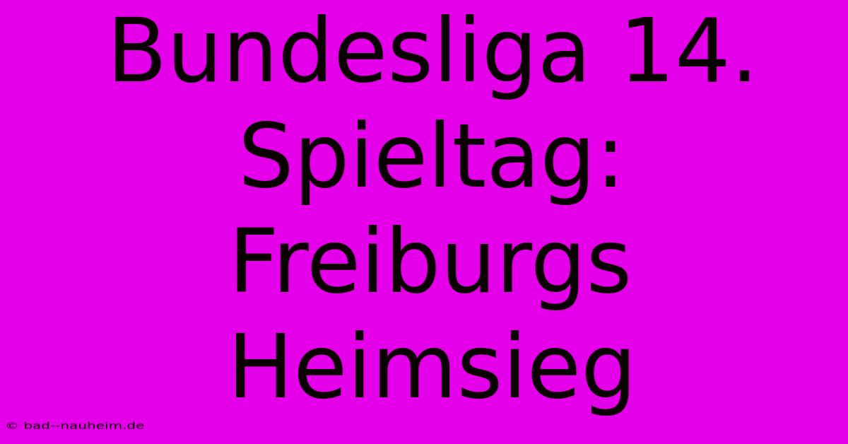 Bundesliga 14. Spieltag: Freiburgs Heimsieg