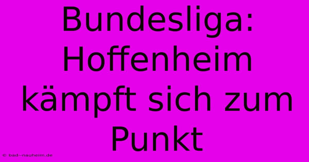 Bundesliga: Hoffenheim Kämpft Sich Zum Punkt