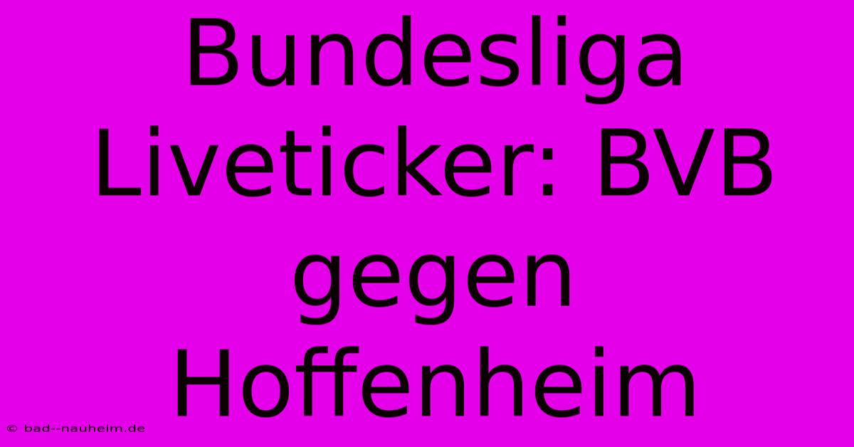 Bundesliga Liveticker: BVB Gegen Hoffenheim