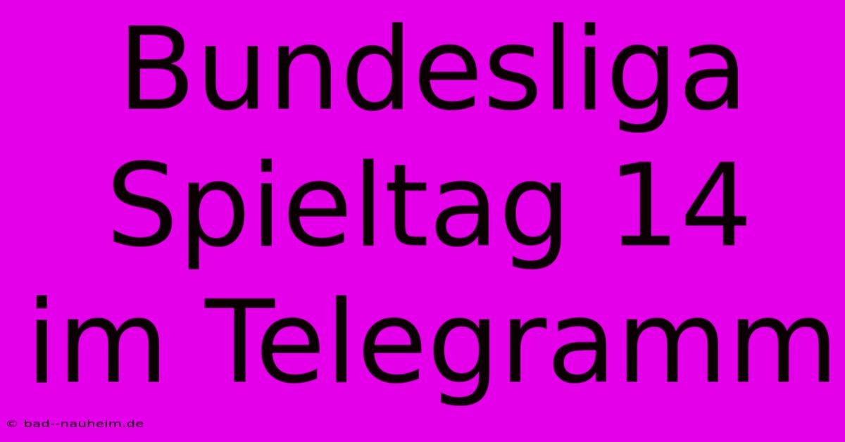 Bundesliga Spieltag 14 Im Telegramm