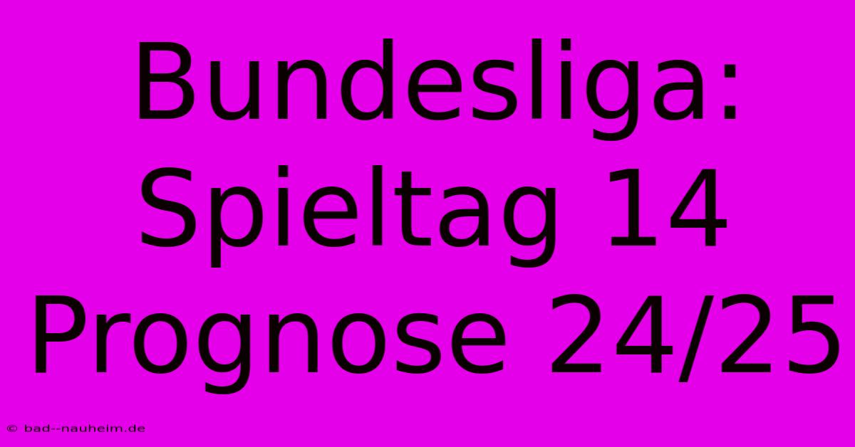 Bundesliga: Spieltag 14 Prognose 24/25