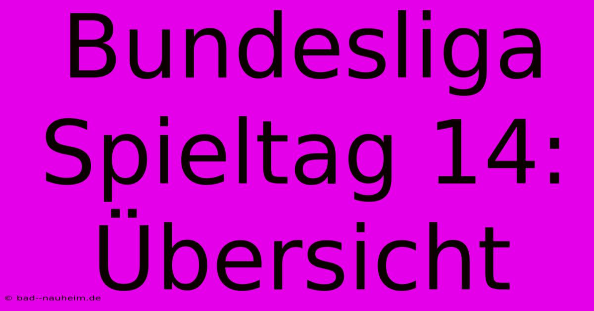 Bundesliga Spieltag 14: Übersicht