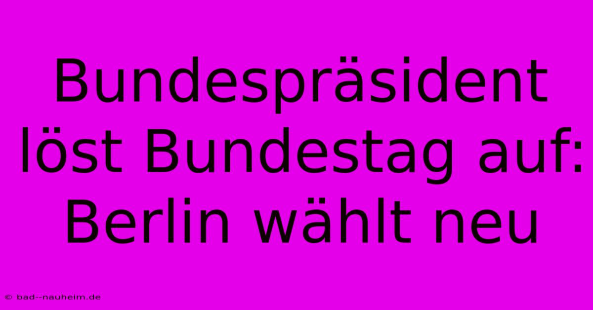 Bundespräsident Löst Bundestag Auf: Berlin Wählt Neu