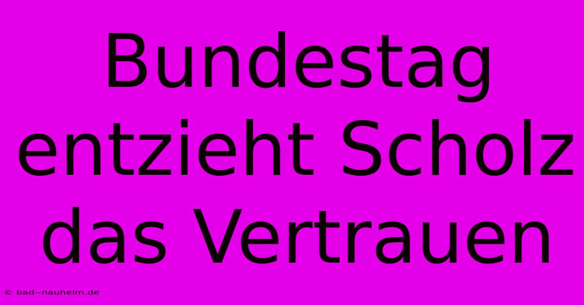 Bundestag Entzieht Scholz Das Vertrauen