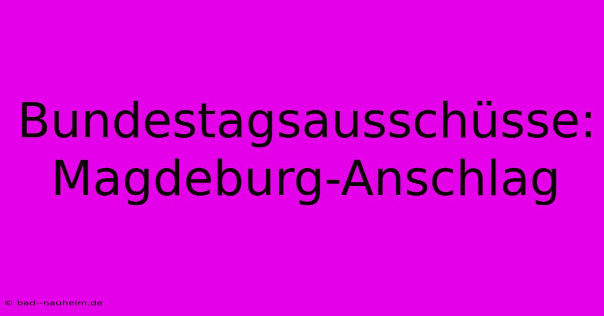 Bundestagsausschüsse: Magdeburg-Anschlag