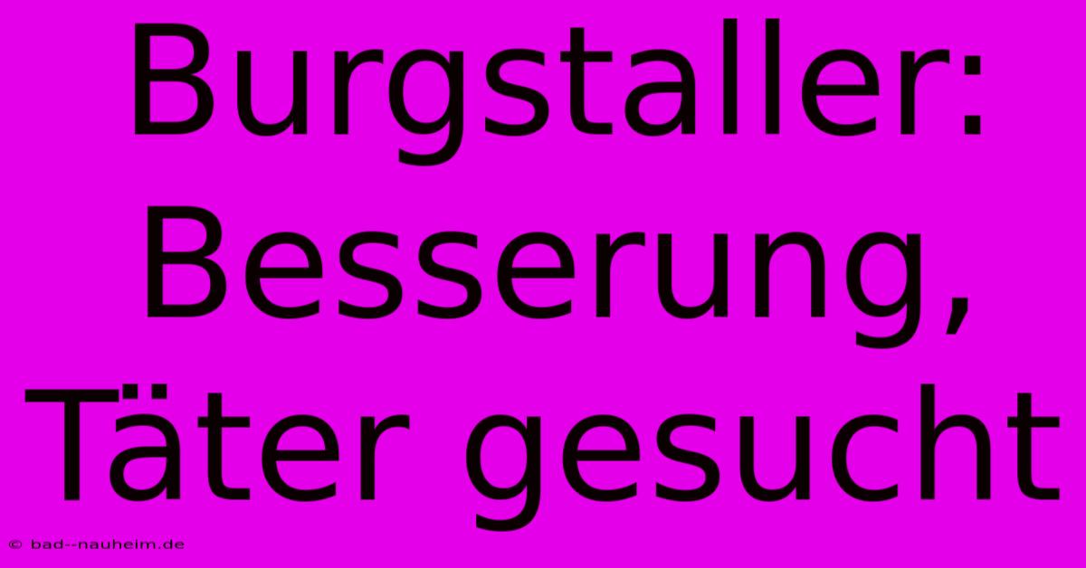 Burgstaller: Besserung, Täter Gesucht