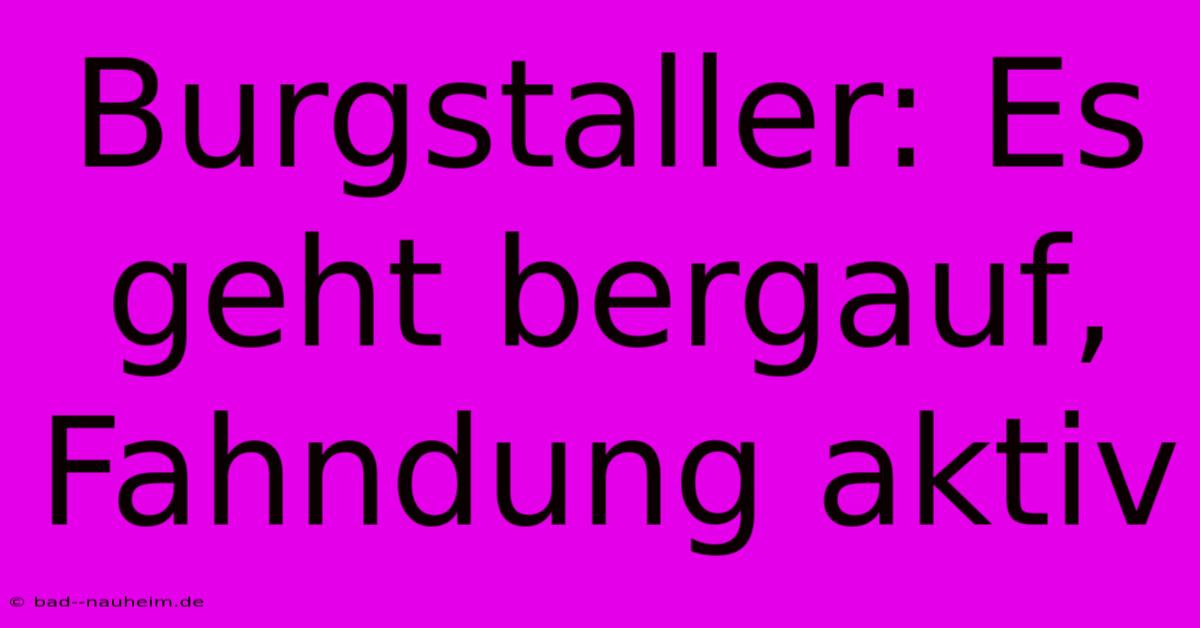 Burgstaller: Es Geht Bergauf, Fahndung Aktiv