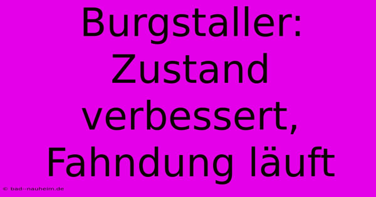 Burgstaller: Zustand Verbessert, Fahndung Läuft